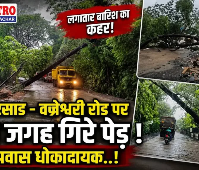 शिरसाड-वज्रेश्वरी मार्ग पर लगातार बारिश के कारण सड़क पर गिरा विशाल पेड़।