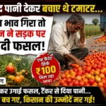 लातूर में टमाटर के भाव गिरने पर किसान ने सड़क पर फेंकी फसल