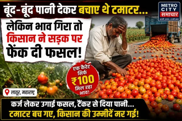 लातूर में टमाटर के भाव गिरने पर किसान ने सड़क पर फेंकी फसल
