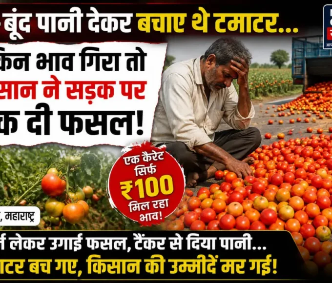 लातूर में टमाटर के भाव गिरने पर किसान ने सड़क पर फेंकी फसल